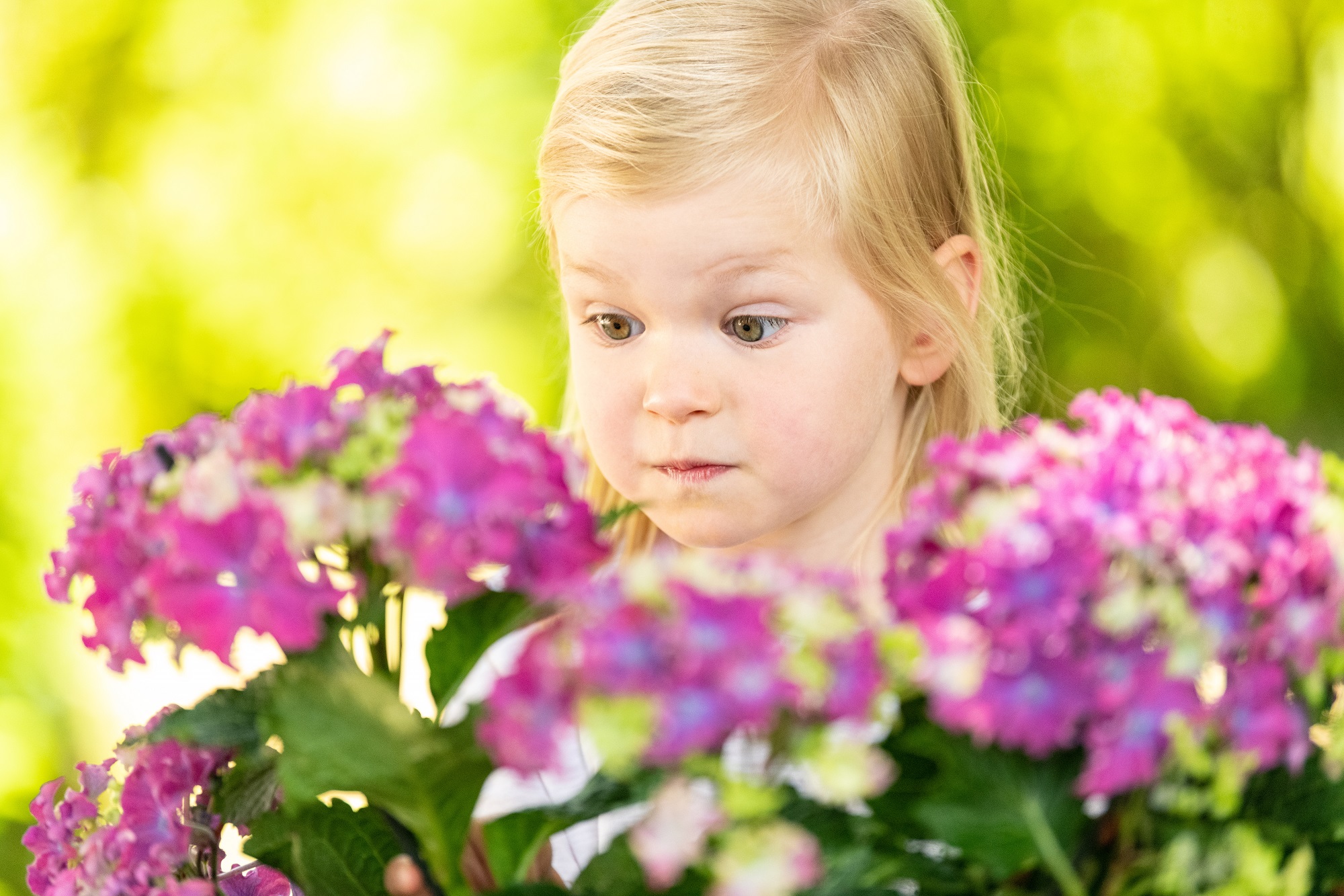 Kleines Mädchen bewundert Blumen