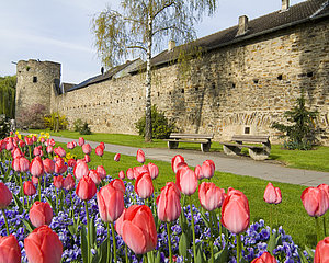 Stadtmauer, Ahrweiler, Ahrtal, Kulturdenkmal